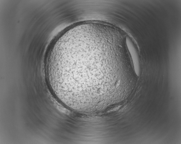 X0000076431072200611031833