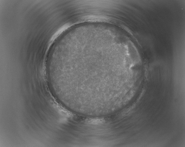 X0000076431074200611031833