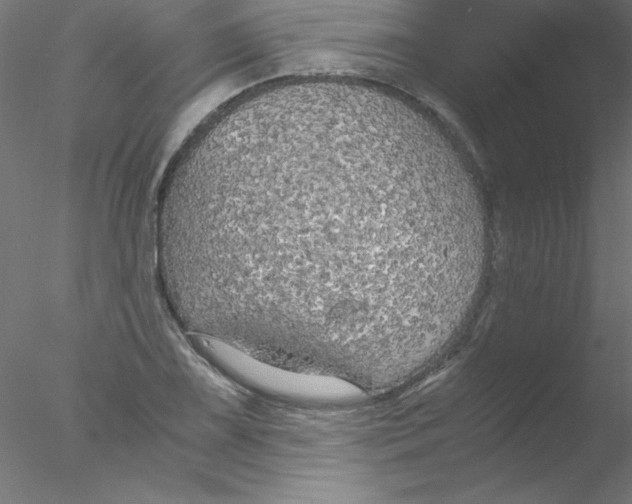 X0000076431075200611031833