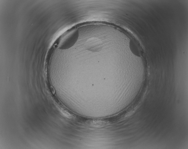 X0000076431077200611031833