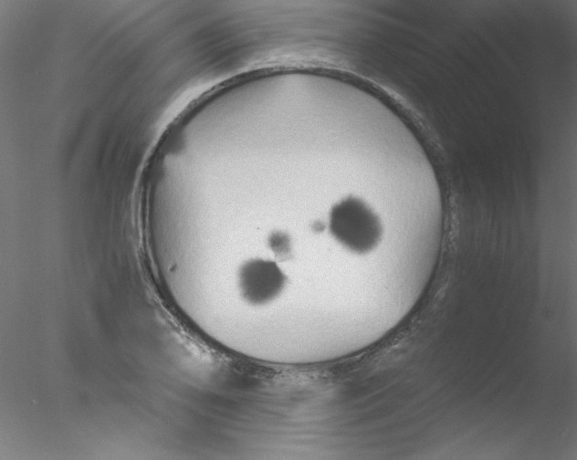 X0000076431078200611031833