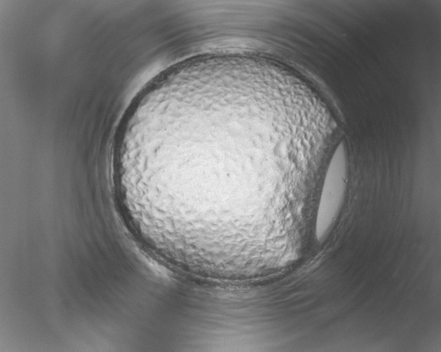 X0000076431083200611031833