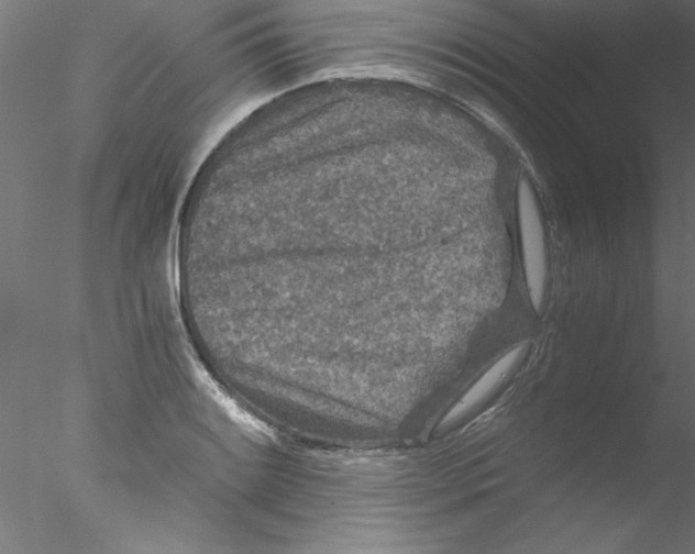 X0000076431084200611031833