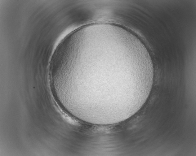 X0000076431086200611031833