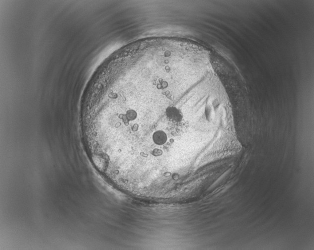 X0000076431087200611031833