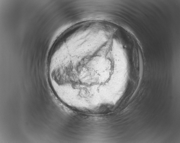 X0000076431088200611031833