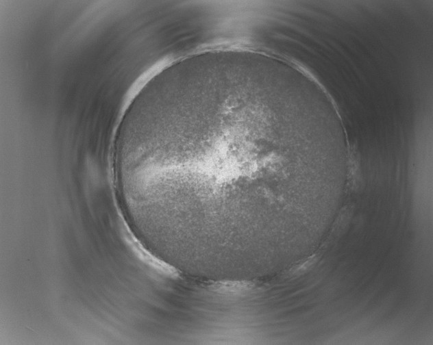 X0000076431090200611031833