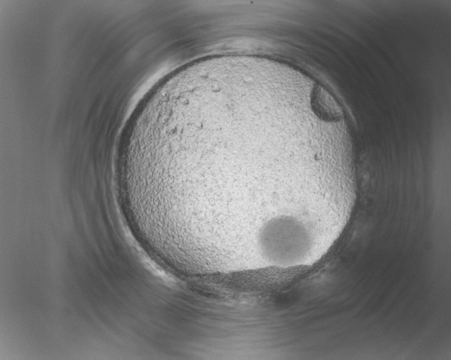 X0000076431091200611031833