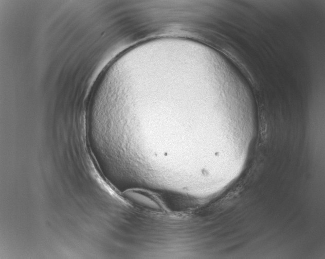 X0000076431092200611031833