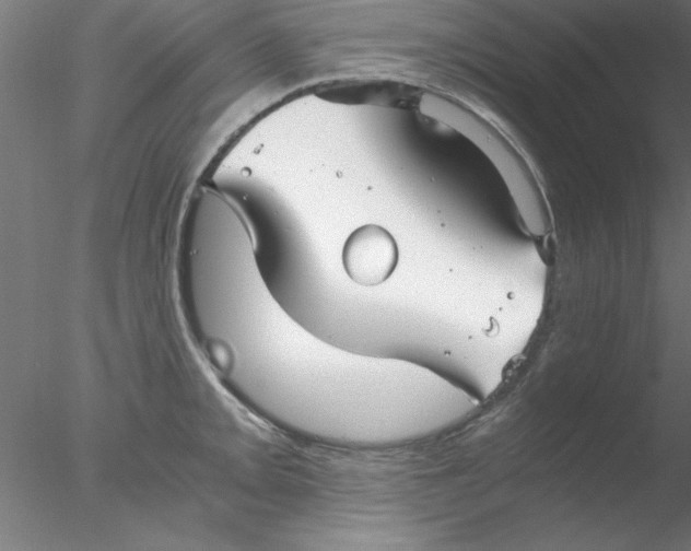 X0000076431093200611031833