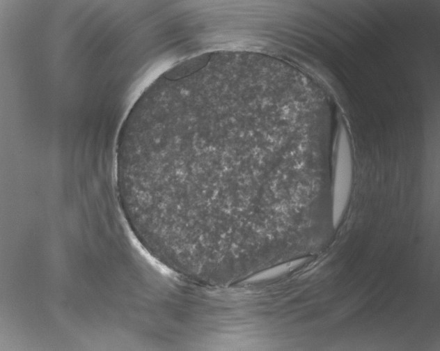 X0000076431095200611031833