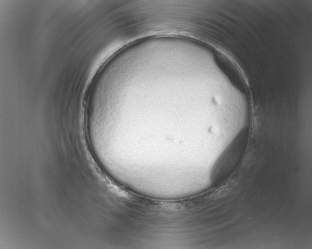 X0000076431096200611031833