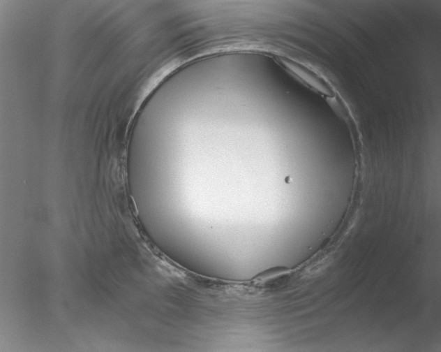 X0000076431097200611031833