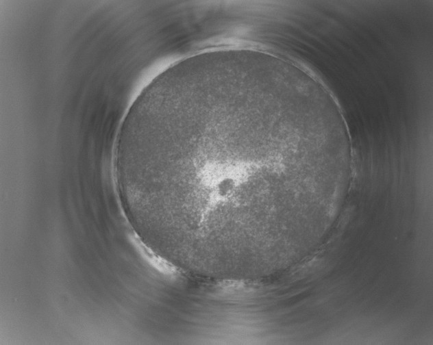 X0000076431098200611031833