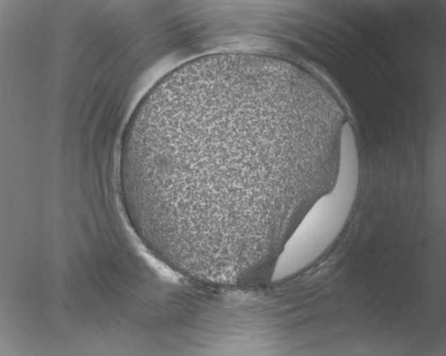 X0000076431099200611031833