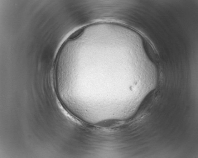 X0000076431100200611031833