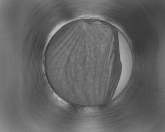 X0000076431102200611031833