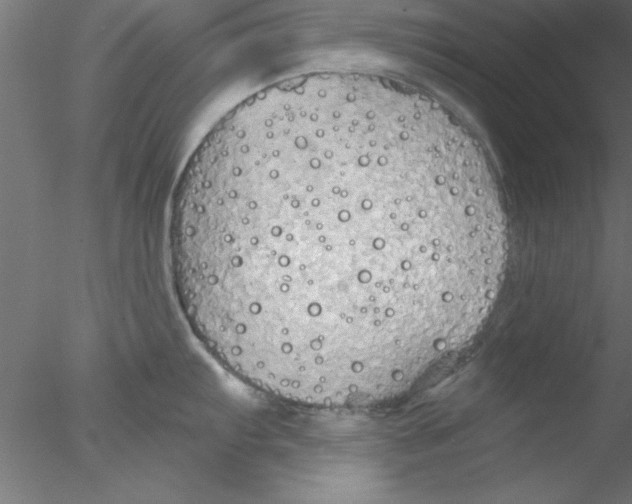 X0000076431103200611031833