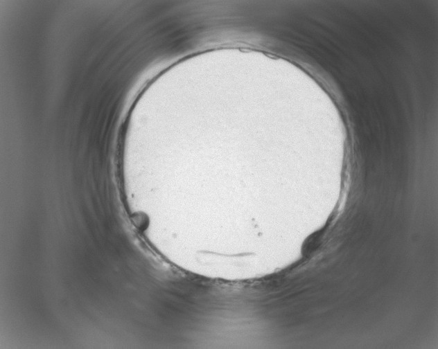 X0000076431104200611031833