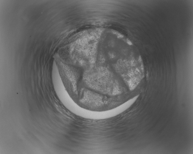 X0000076431106200611031832