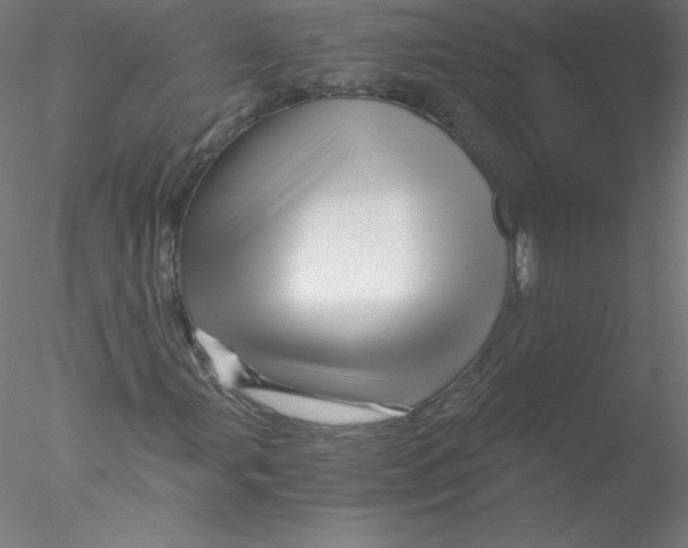 X0000076431107200611031832