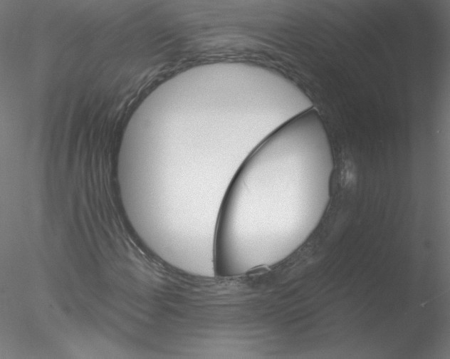 X0000076431108200611031832