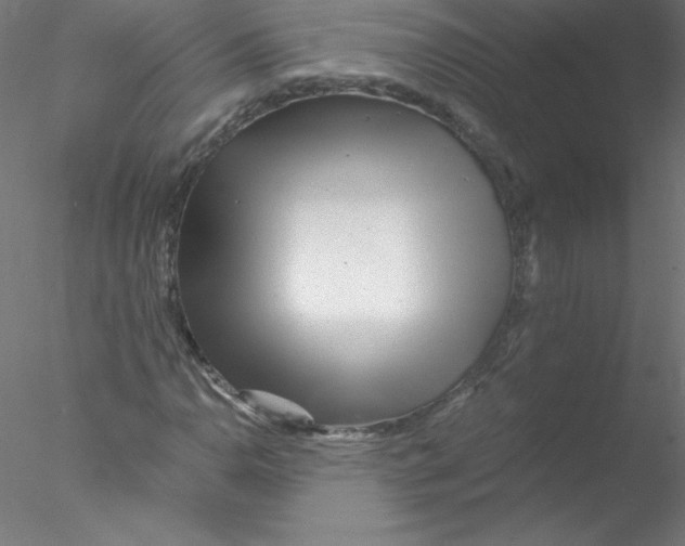 X0000076431110200611031832