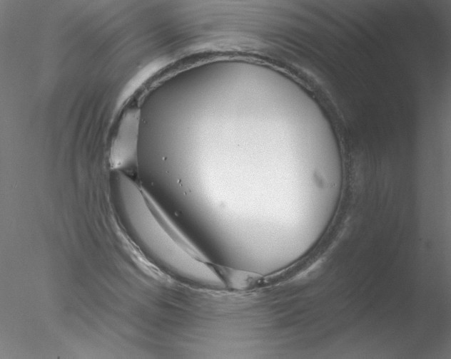 X0000076431114200611031832