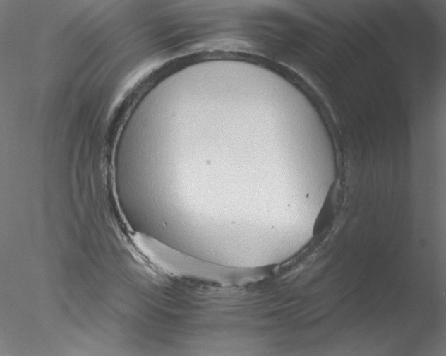 X0000076431115200611031832