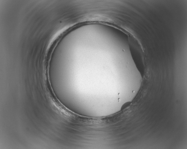 X0000076431120200611031832