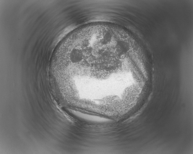 X0000076431121200611031832