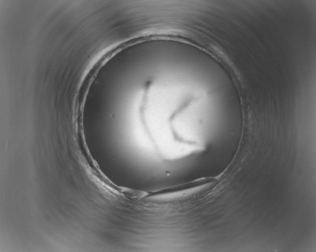 X0000076431124200611031832