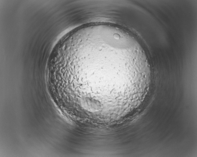 X0000076431125200611031832