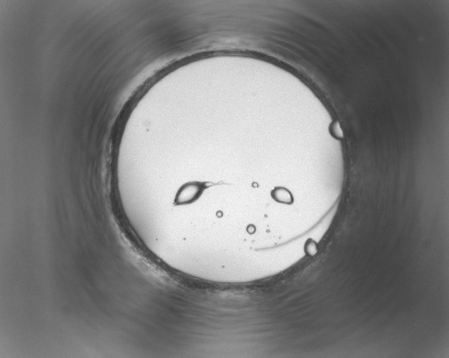 X0000076431126200611031832