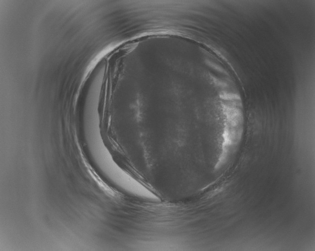 X0000076431127200611031832