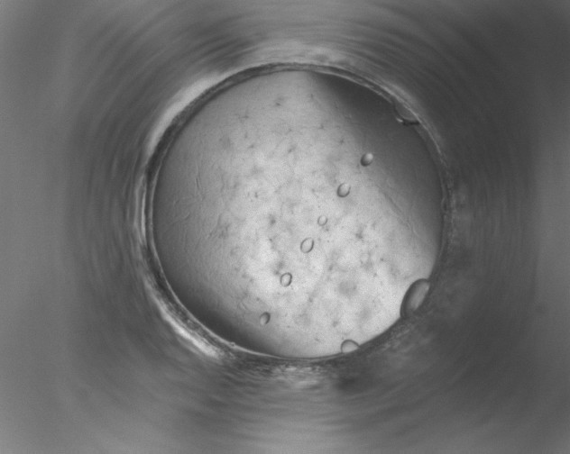 X0000076431128200611031832