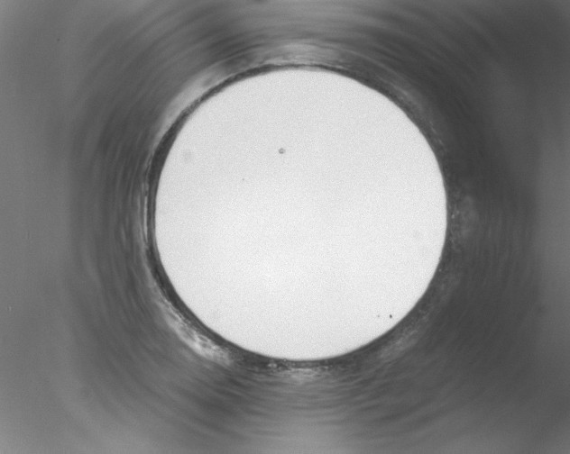 X0000076431130200611031832