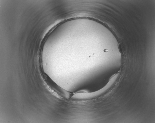 X0000076431134200611031832