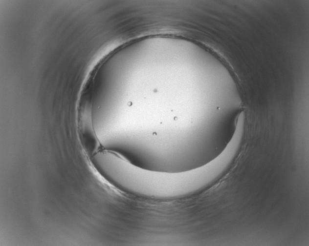 X0000076431135200611031832