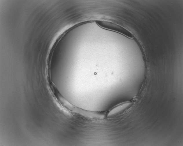 X0000076431136200611031832