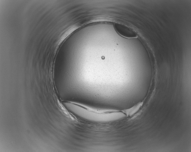 X0000076431137200611031833