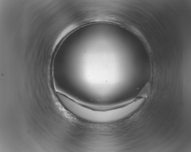 X0000076431138200611031833