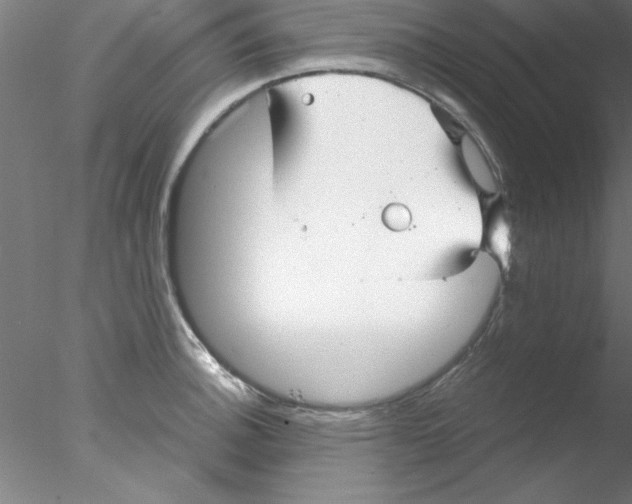 X0000076431140200611031833