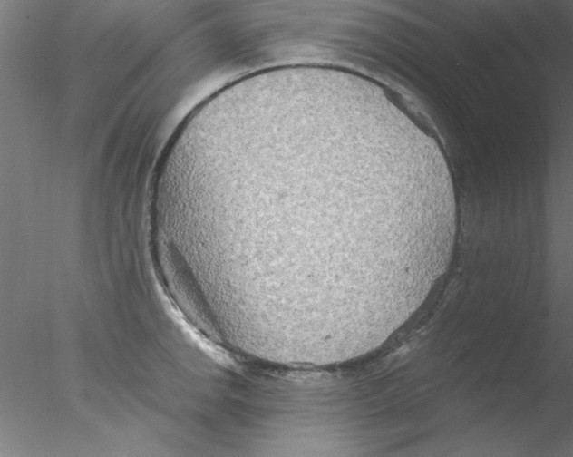 X0000076431142200611031833