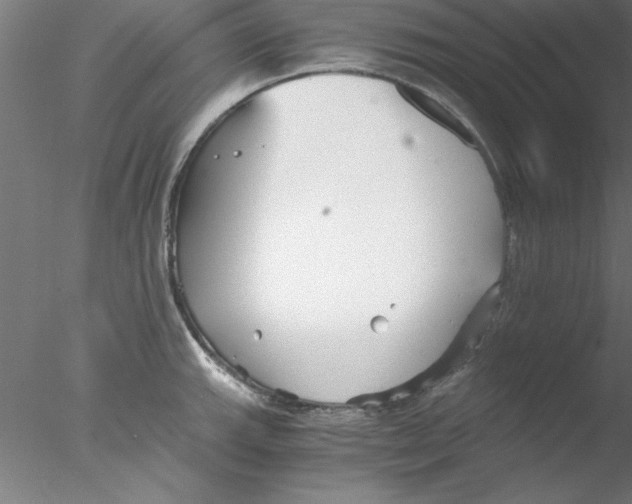 X0000076431143200611031833