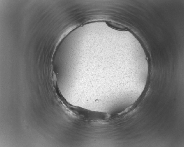 X0000076431145200611031833