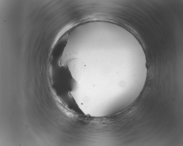 X0000076431146200611031833