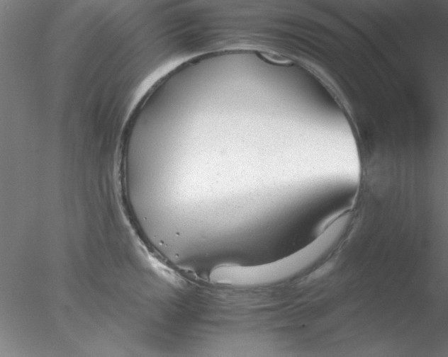 X0000076431149200611031833