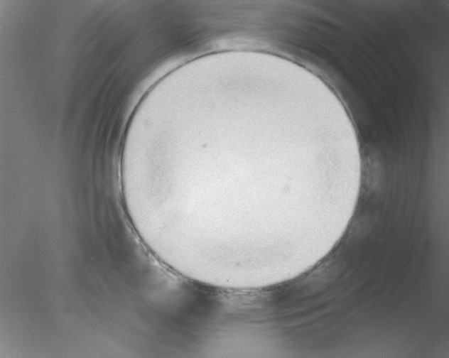 X0000076431150200611031833