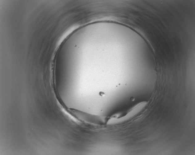 X0000076431151200611031833